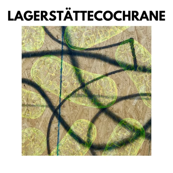 Cochrane drops the EP “Laggerstätte”: Sounds that Tell a Story