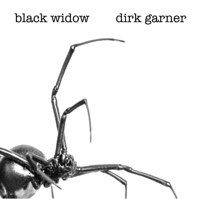 DG_Song_Art_B2_Black_Widow (1)
