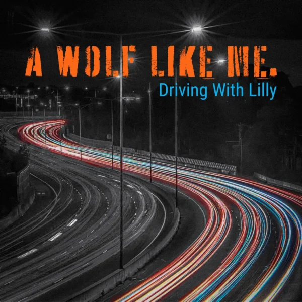 If Music Were Recorded For Authenticity Over Perfection, It Would Be A WOLF LIKE ME’s “Driving With Lilly”