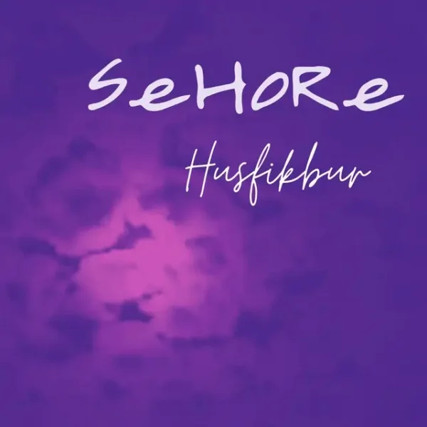 At Its Core, Sehore’s Husfikbur Is a Continuation of a Project Designed to Stir Conscience