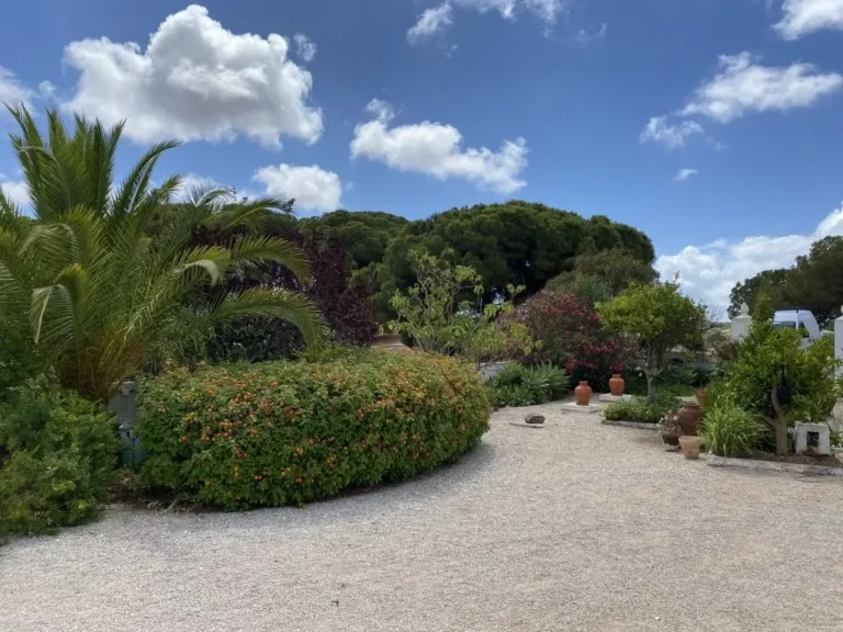 IMG_0429 (1) (1) (1)