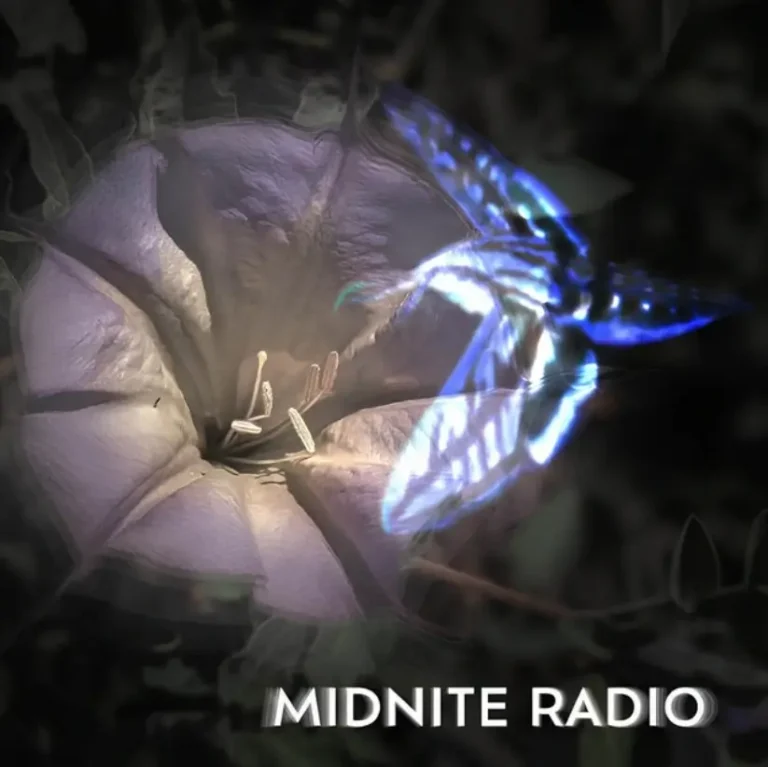 Screenshot 2026-02-25 183814 (1)