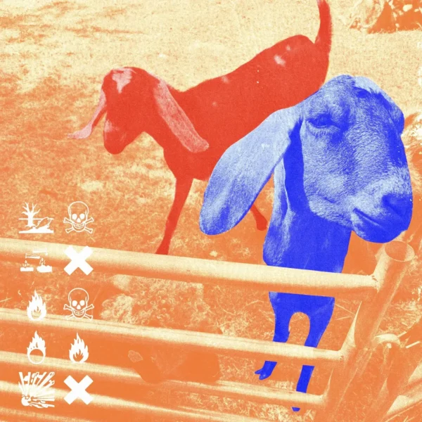 MASSING WEAPONIZE FUZZ AND APATHY ON THE CYNICAL, HEAVY ‘CHEMICALS’