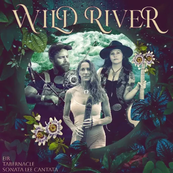 Protected: Wind River Is Built for Ecstatic Dance Floors, Conscious Festivals and Late-Night Club Systems Alike