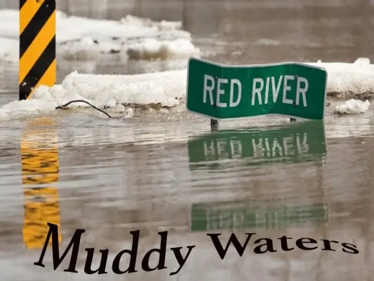 muddy_waters_art_work (1)